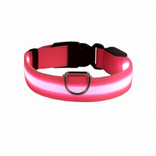 Leuchtendes LED-Hundehalsband