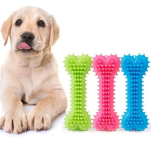 Robustes Hundekauspielzeug